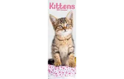 Plenty gifts Slimline kalender 27 kittens pfp as