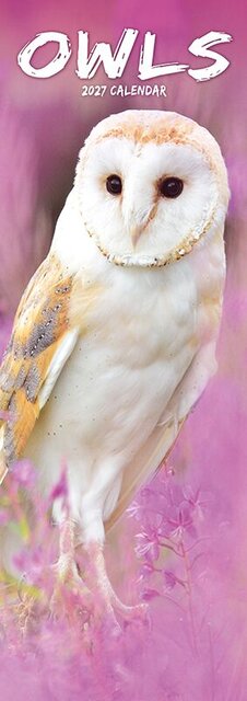 Plenty gifts Slimline kalender 27 owls pfp as