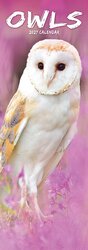 Plenty gifts Slimline kalender 27 owls pfp as
