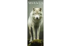 Plenty gifts Slimline kalender 27 wolves pfp as