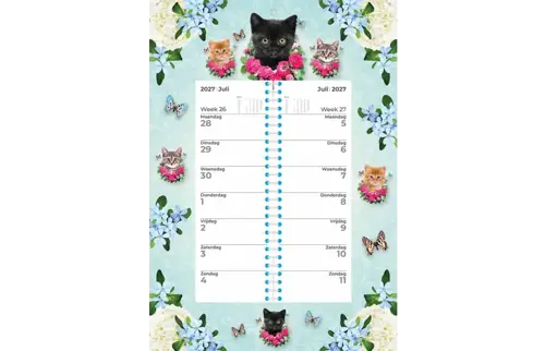 Plenty gifts Weekomleg kalender 27 cats blue