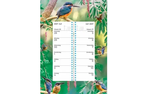 Plenty gifts Weekomleg kalender 27 kingfisher