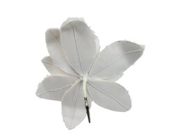Poinsettia op clip d28h10cm creme - afbeelding 2