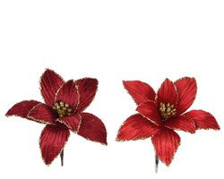 Poinsettiaclip d28h5cm a2 rood