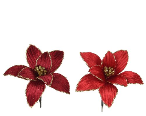 Poinsettiaclip fluweel d13h5cm a2