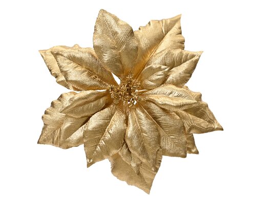 Poinsettiaclip plc d24h7cm goud