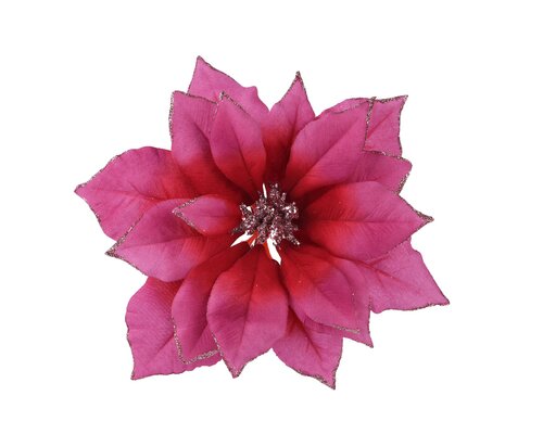 Poinsettiaclip plc d24h7cm roze