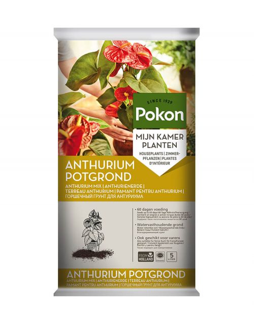 Pokon Anthurium Potgrond 5L