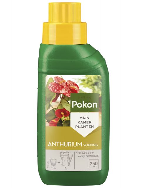 Pokon Anthurium Voeding 250ml - afbeelding 1