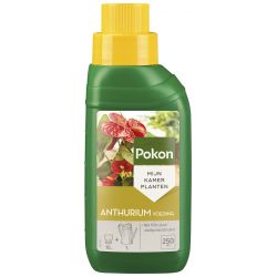 Pokon Anthurium Voeding 250ml - afbeelding 1