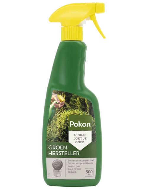 Pokon Buxus Groen 500ml