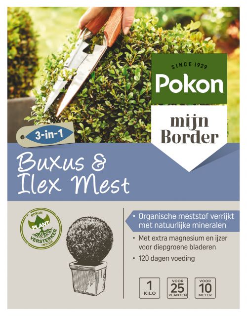 Pokon Buxus & Ilex Mest 2,5kg - afbeelding 1