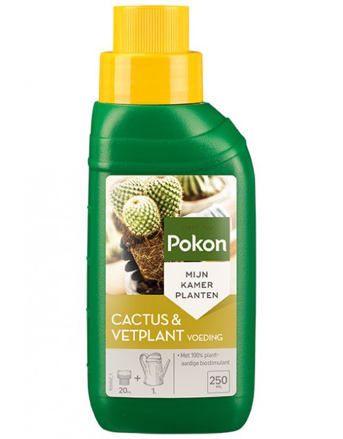Pokon Cactus & Vetplant 250ml