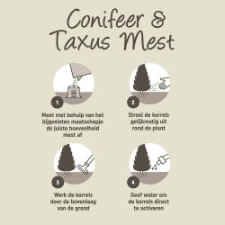 Pokon Conifeer & Taxus Mest 2,5kg - afbeelding 5