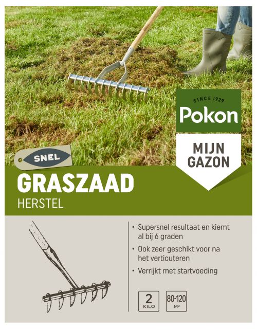 Pokon Graszaad Herstel 500gr