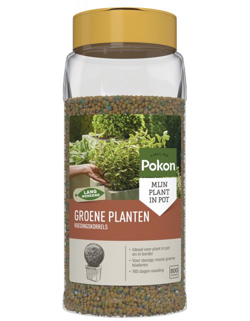 Pokon Groene Planten Voedingskorrels 800gr - afbeelding 1