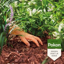 Pokon Houtsnippers Cacaobruin 45L - afbeelding 3