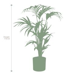 Pokon Kentia palm H110cm incl. watermeter en voeding in Mica Era Pot Licht Grijs - afbeelding 5