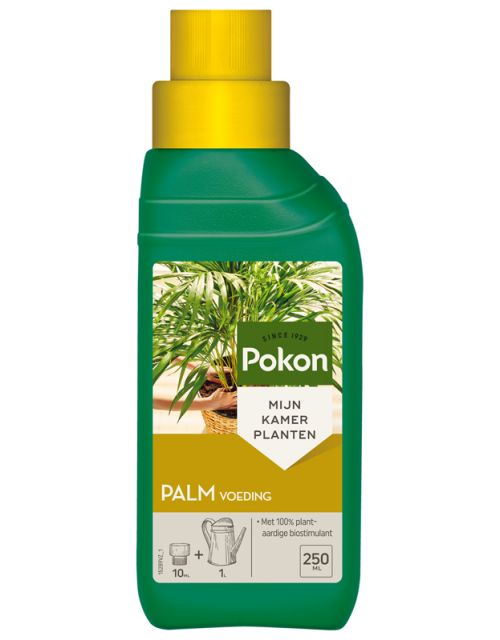 Pokon Palm Voeding 250ml