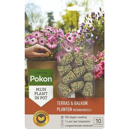 Pokon Terras & Balkon Planten Voedingskegels 40 stuks OP=OP - afbeelding 1