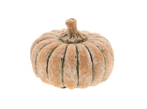 Pompoen forest d16.5h10cm d.oranje
