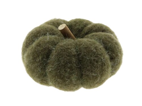 Pompoen m.takje d11h8cm groen