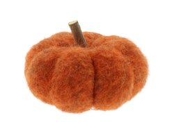Pompoen m.takje d11h8cm oranje