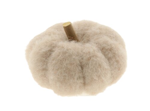 Pompoen m.takje d11h8cm wit