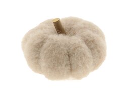 Pompoen m.takje d11h8cm wit