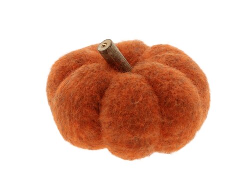 Pompoen m.takje d14h11cm oranje