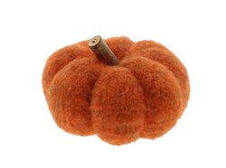 Pompoen m.takje d14h11cm oranje