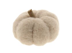 Pompoen m.takje d14h11cm wit