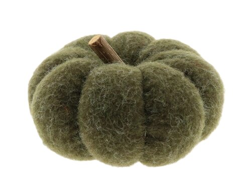 Pompoen m.takje d19h11cm groen
