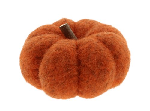 Pompoen m.takje d19h11cm oranje