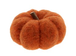 Pompoen m.takje d19h11cm oranje