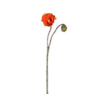 PTMD Poppy Flower Orange poppy spray with bud