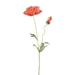 PTMD Poppy Flower Orange spray with leaves