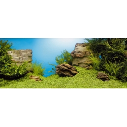 Juwel poster 2  s achterw. 60x30cm - afbeelding 1