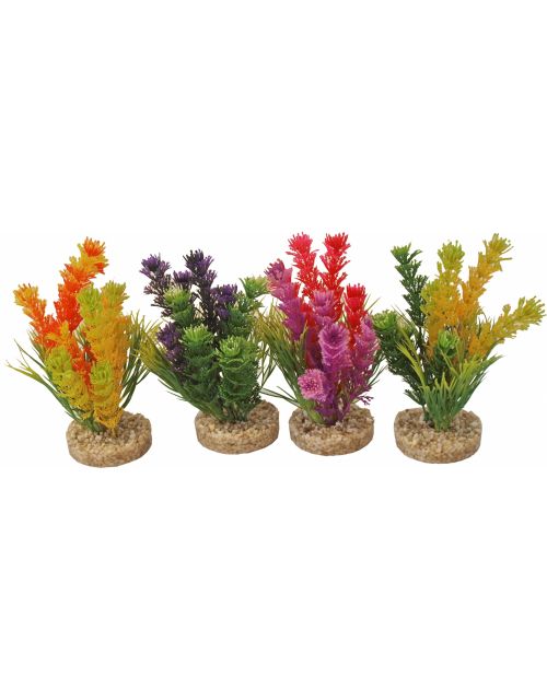 Fiesta colour 16cm