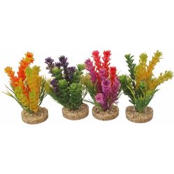 Fiesta colour 16cm