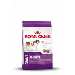 Giant Adult 15 KG