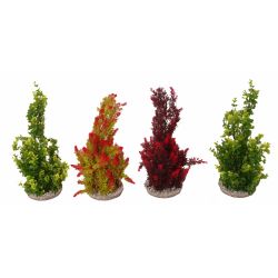 Cyperus giant 39cm - afbeelding 2