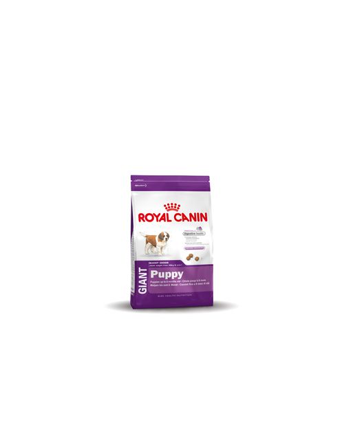 Gaint Puppy 4KG