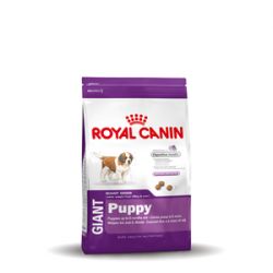 Gaint Puppy 4KG