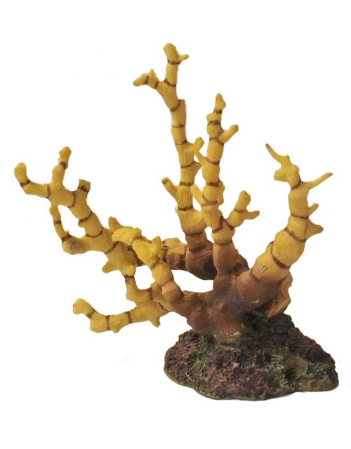 Pr.reef flower geel/bruin 12x6cm