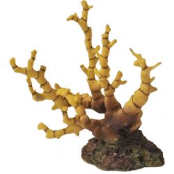 Pr.reef flower geel/bruin 12x6cm