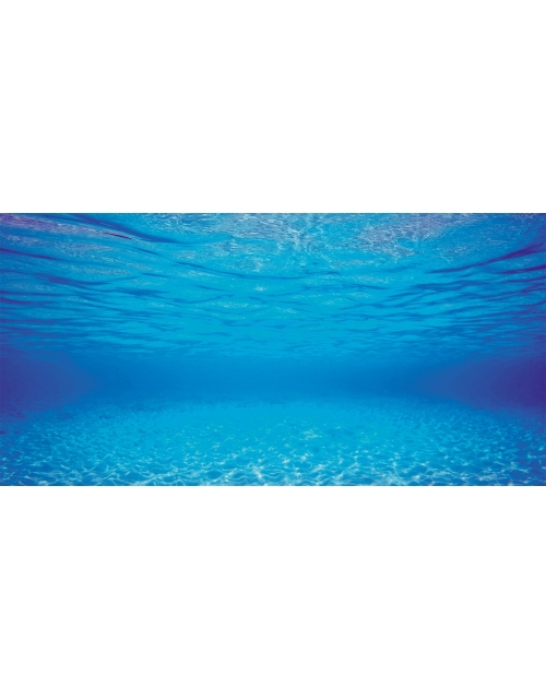Juwel poster achterwand s 60x30 cm - afbeelding 1
