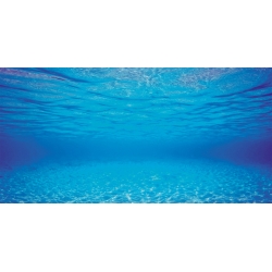 Juwel poster achterwand s 60x30 cm - afbeelding 1