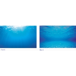 Juwel poster achterwand s 60x30 cm - afbeelding 2
