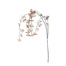 PTMD Berry Plant Rose hip berry beige - afbeelding 1
